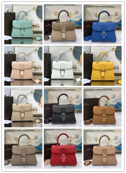Picture of Delvaux Handbags _SKUfw176136817fw